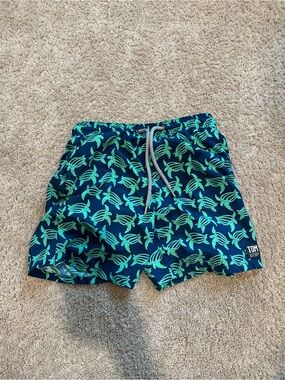 Tom & Teddy kids swim trunks
